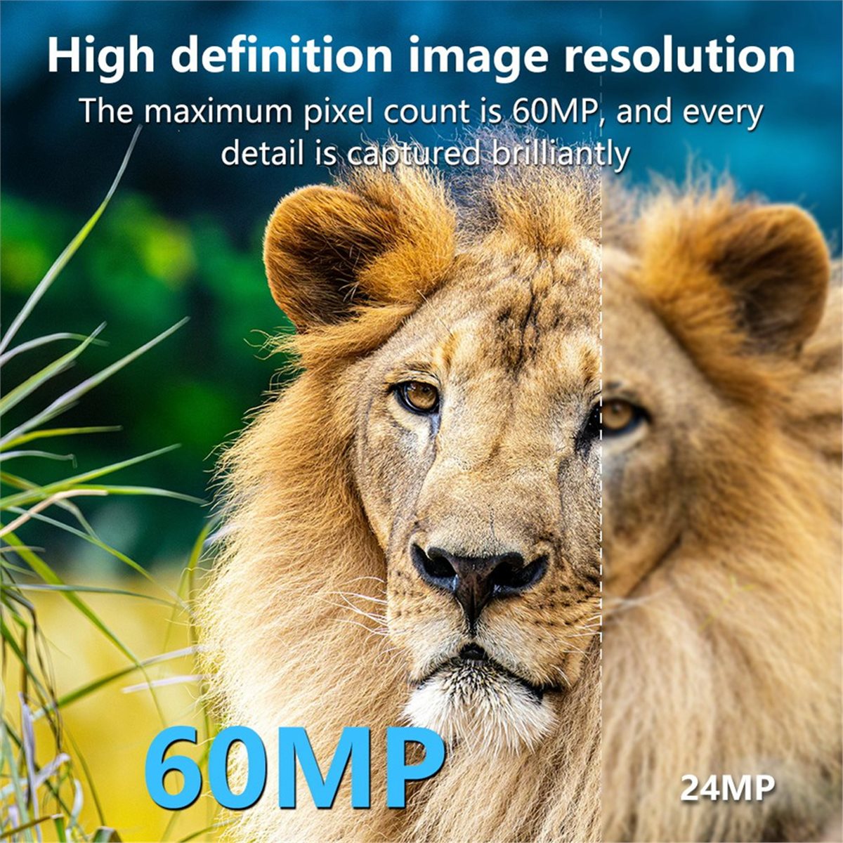 AS62 8K Hunting Camera HD Wild - Hunting Outdoor Rug 리뷰 및 가격