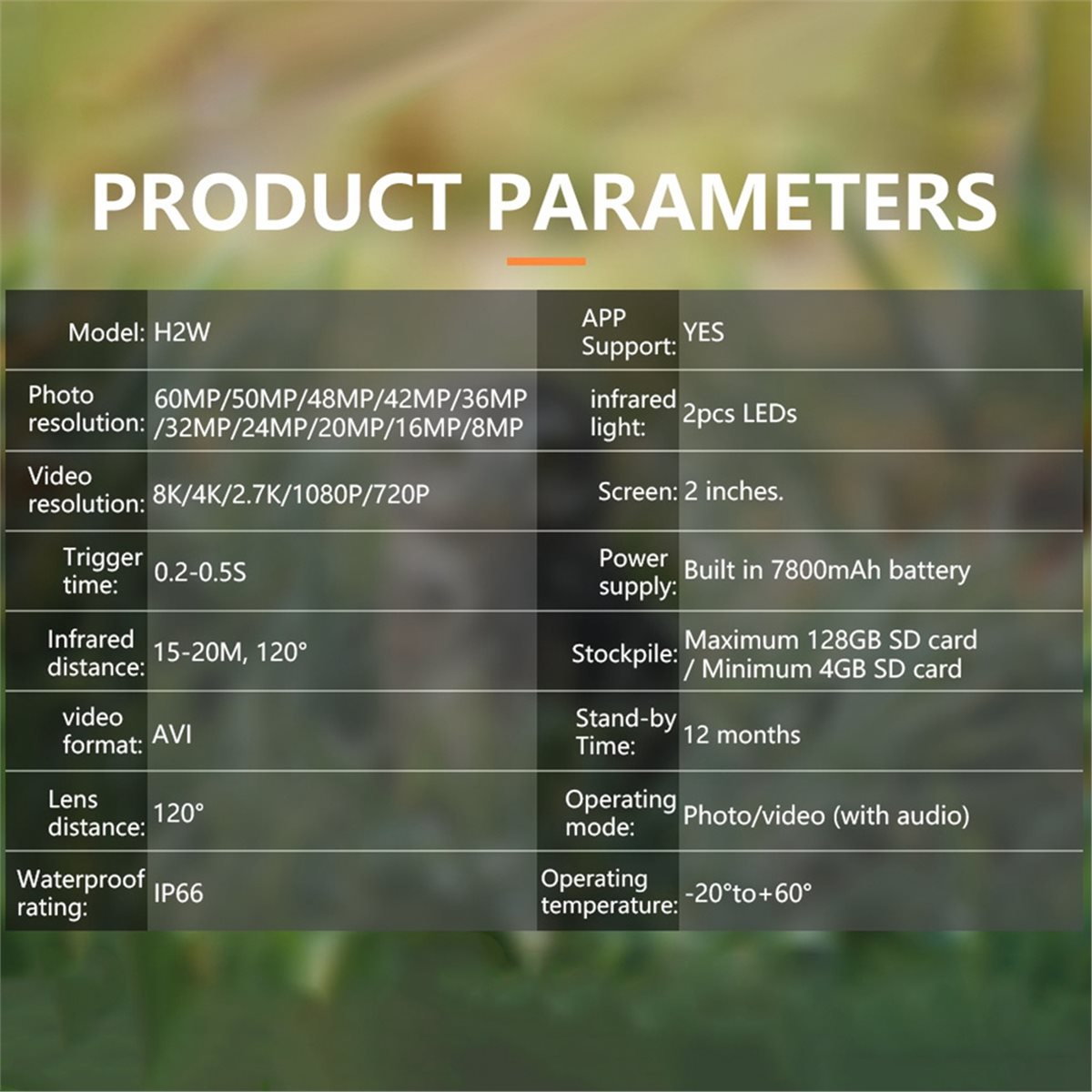 AS62 8K Hunting Camera HD Wild - Hunting Outdoor Rug 리뷰 및 가격