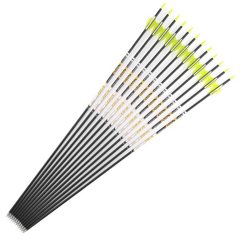 Archery Spine 350 400 450 500  - Hunting Bow Compound 리뷰 및 가격