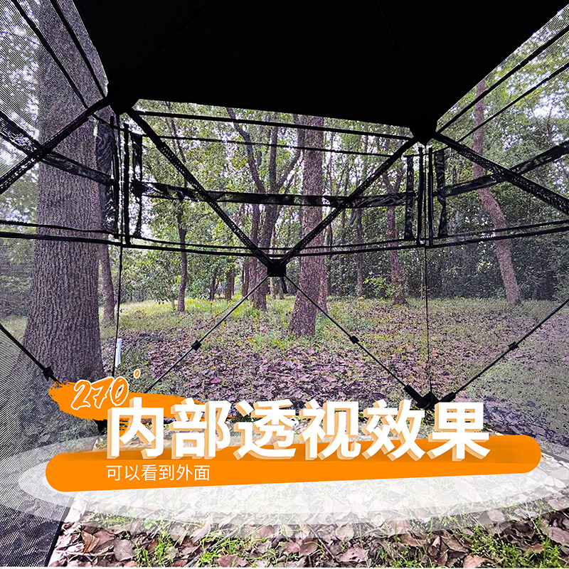 Outdoor 2-3 Person Automatic C - Hunting Outdoors 리뷰 및 가격