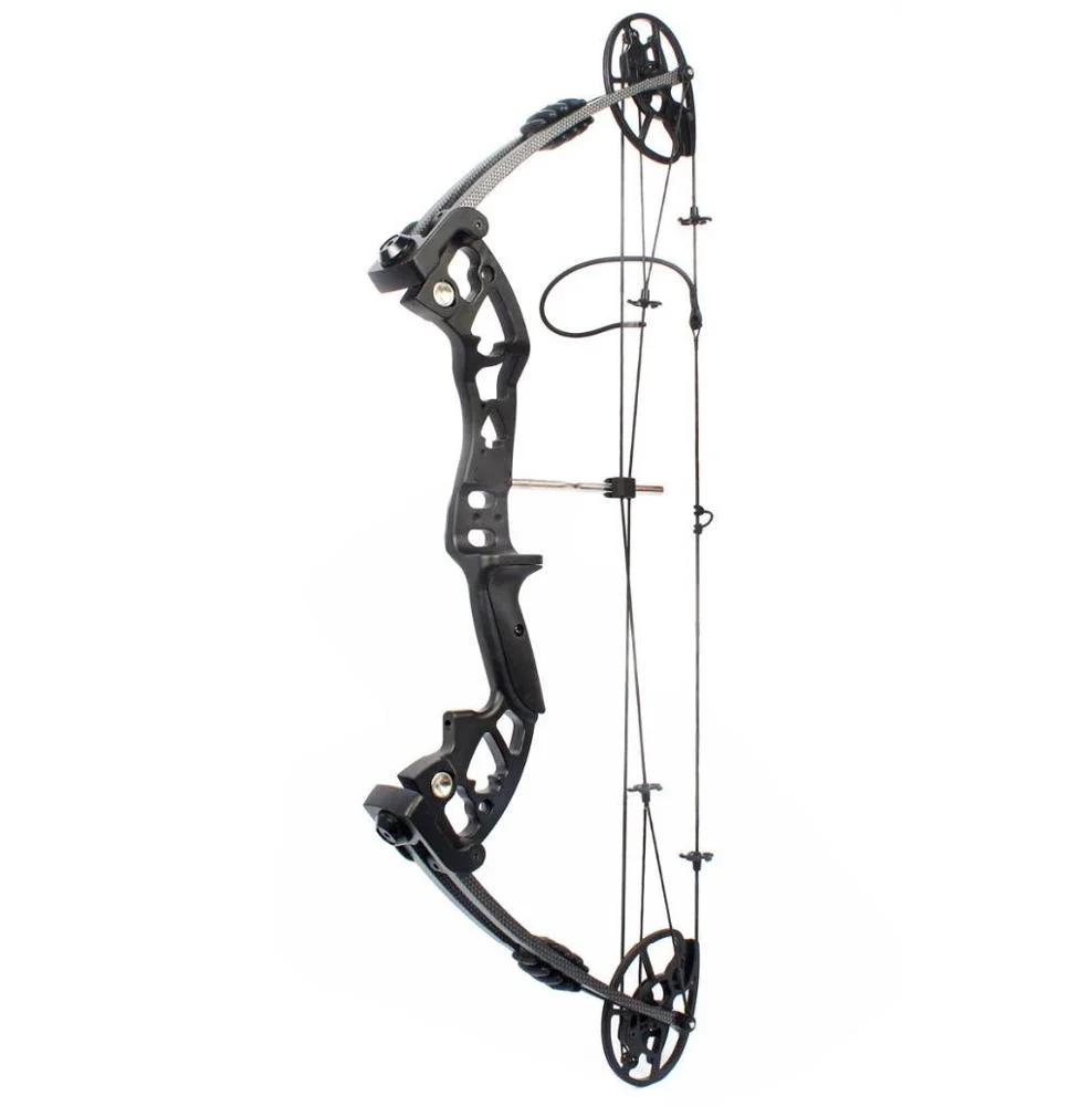 M120 Compound Bow New Design C - Hunting Bow Compound 리뷰 및 가격