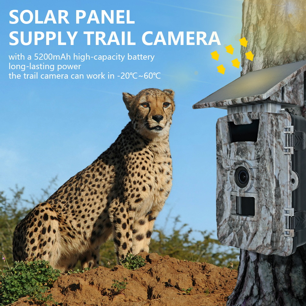 Solar WiFi 4K 60MP Hunting Cam - Outdoor Hunting Photography 리뷰 및 가격