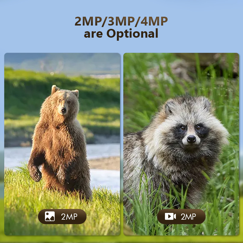 4G 4MP Outdoor Wildlife Huntin - Hunting Outdoor Game 리뷰 및 가격