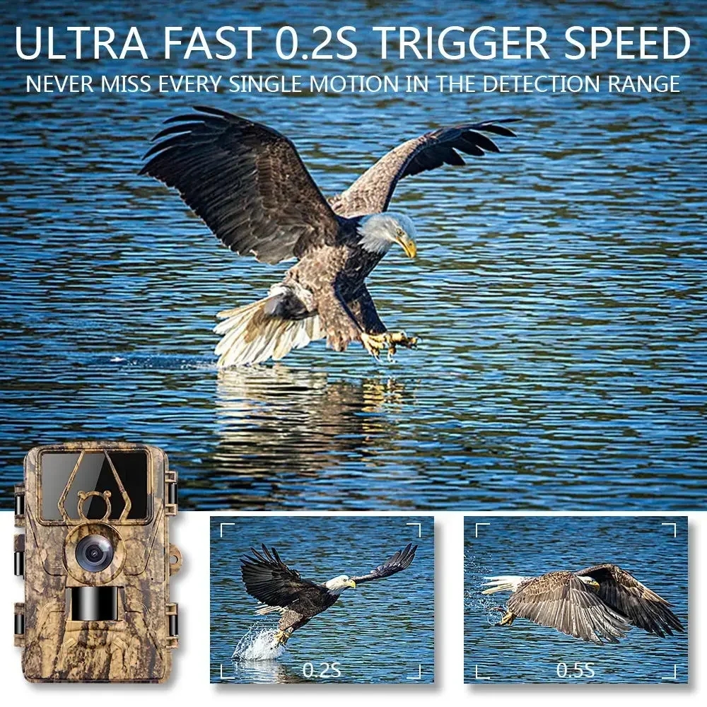 PR801W WIFI 8K 60MP Digital Tr - Outdoor Hunting Digital Night Vision 리뷰 및 가격