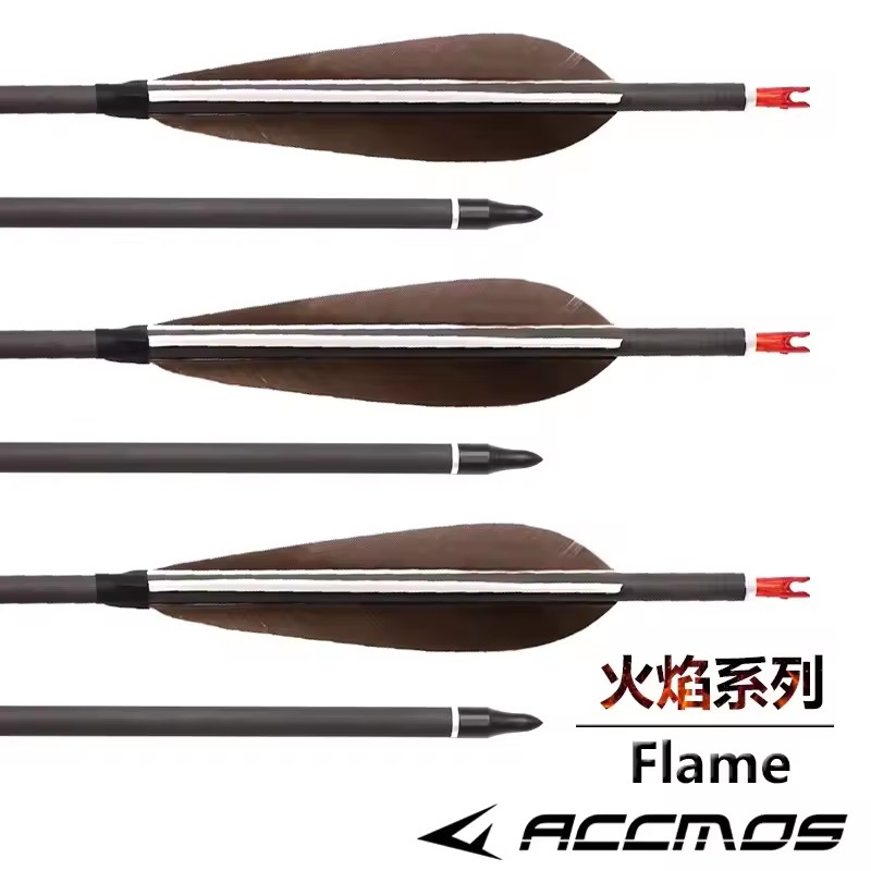 ACCMOS 33inch Pure Carbon Arro - Hunting Bow Compound 리뷰 및 가격