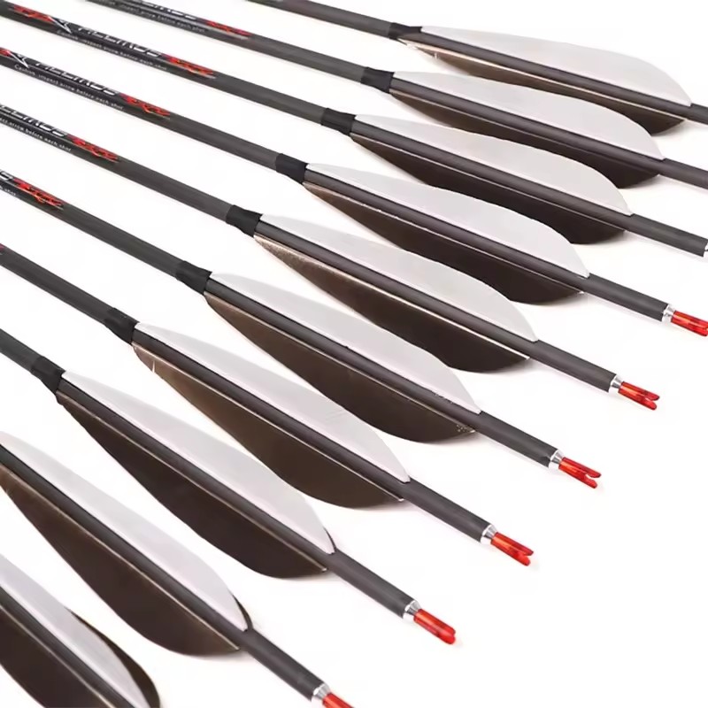 ACCMOS 33inch Pure Carbon Arro - Hunting Bow Compound 리뷰 및 가격